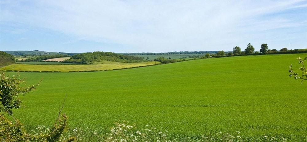 Malton Landscape
